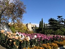 Никитский ботанический сад. Ялта